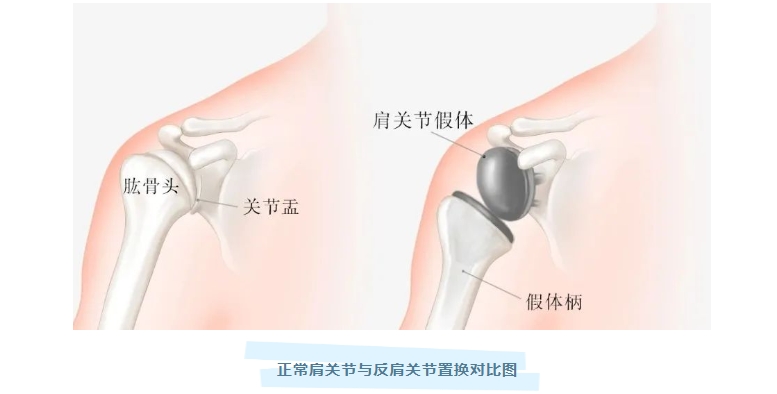 微信截图_20241205163738.png